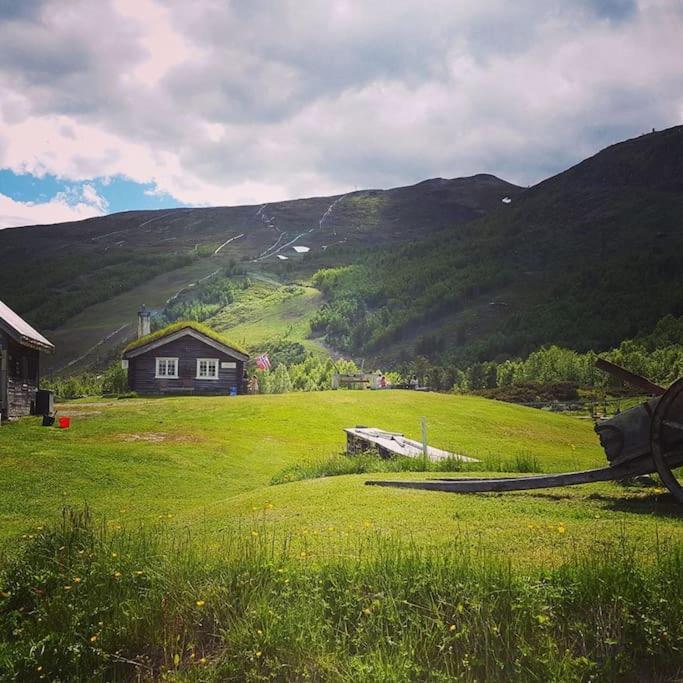 Jotunheimen/Besseggen/7Ppl/View/Amazing Hikes Apartment Randsverk Exterior photo